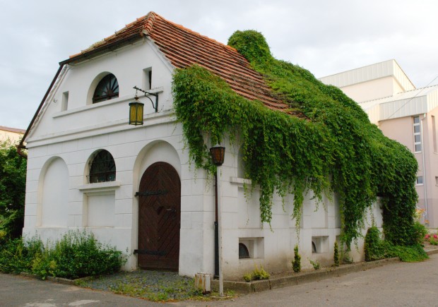 Grabonóg3