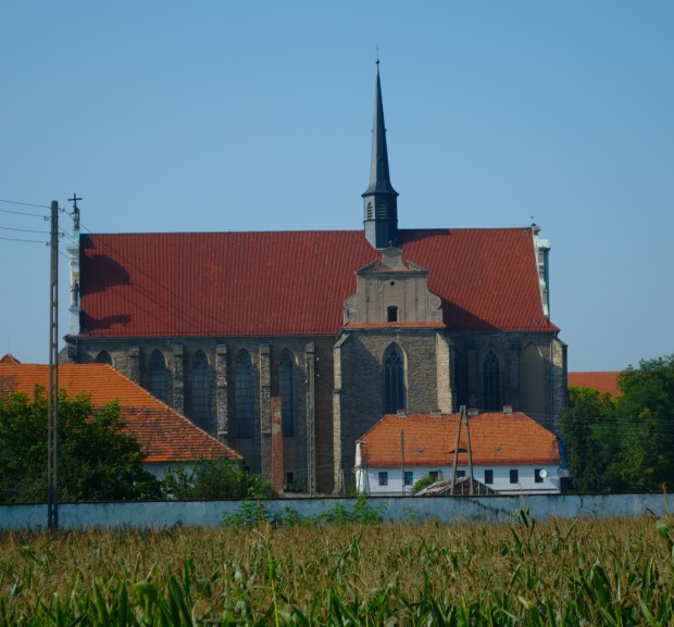 Kamieniec Ząbkowicki4