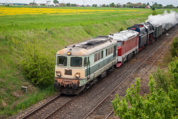 Rumun 377, Bardotka (T478.1201), Albatros i słowacka delegacja