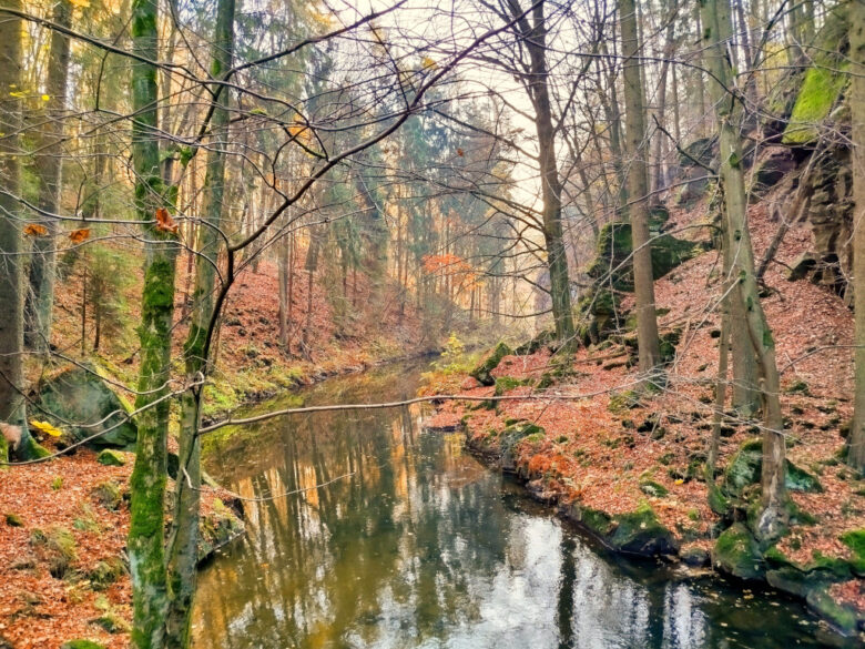 Rzeka w jesiennej odsłonie